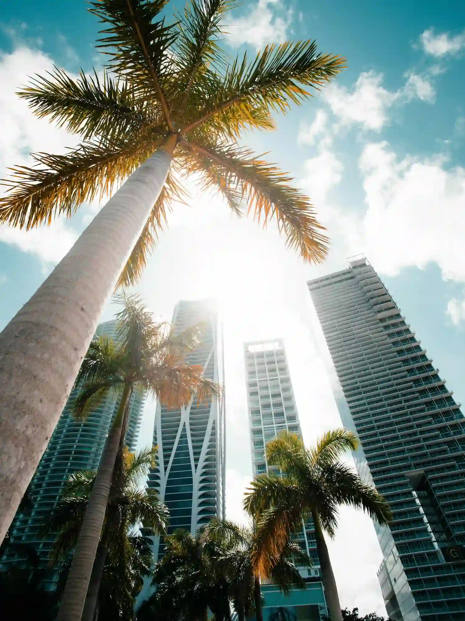 Skyline de Miami, Florida — mercado de marketing digital para empresas latinas